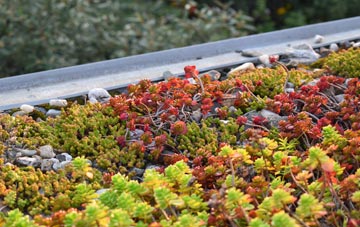 the cost of Thorpe Langton green roof installation