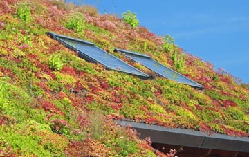 Thorpe Langton living roof systems