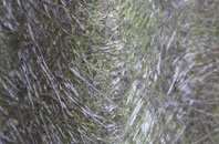 Thorpe Langton fibreglass roof work